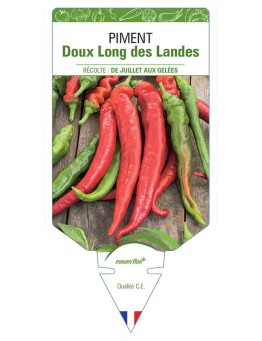 PIMENT DOUX LONG DES LANDES