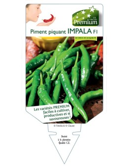 PIMENT PIQUANT IMPALA F1