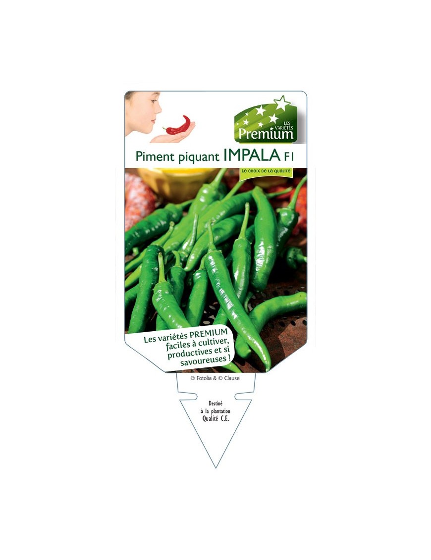 PIMENT PIQUANT IMPALA F1