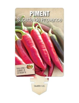 PIMENT SUCETTE DE PROVENCE *