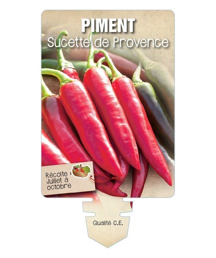 PIMENT SUCETTE DE PROVENCE *