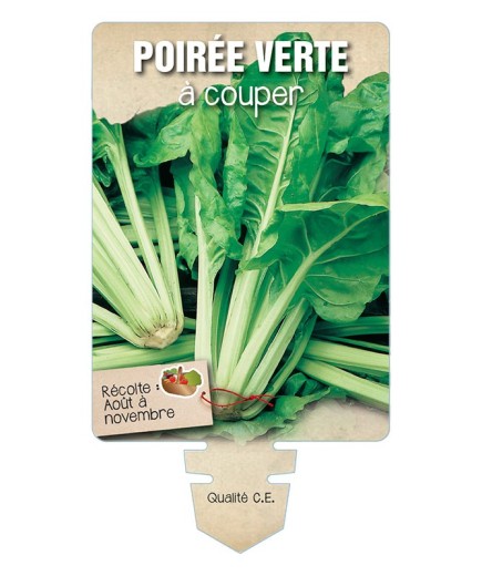 POIRÉE VERTE À COUPER *