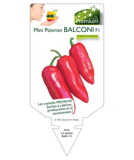 MINI POIVRON BALCONI F1