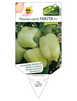 POIVRON CARRÉ NIKITA F1 *