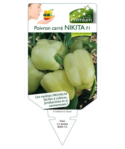 POIVRON CARRÉ NIKITA F1 *