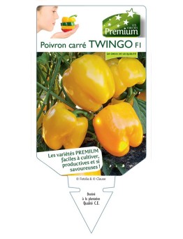 POIVRON CARRÉ TWINGO F1