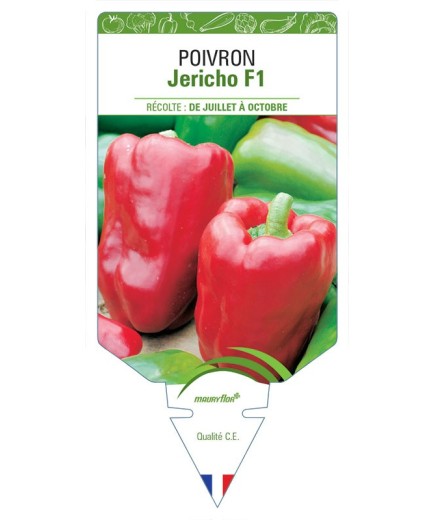 POIVRON JERICHO F1