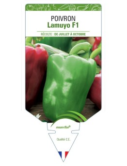 POIVRON LAMUYO HYBRIDE F1