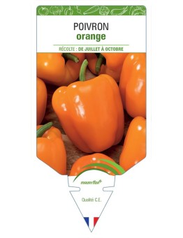 POIVRON ORANGE