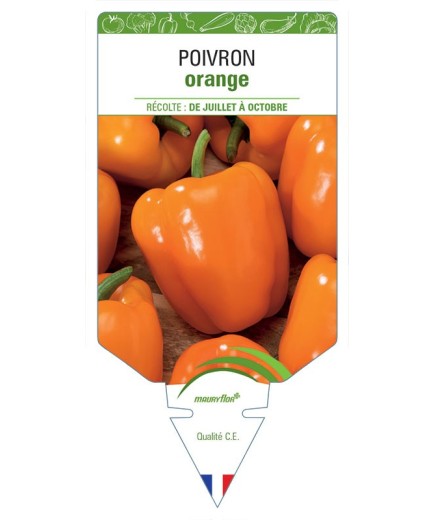 POIVRON ORANGE