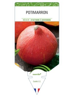 POTIMARRON