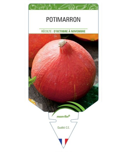 POTIMARRON