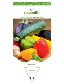 KIT RATATOUILLE (aubergine, courgette, poivron…) *