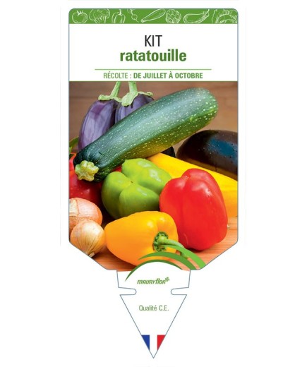 KIT RATATOUILLE (aubergine, courgette, poivron…) *
