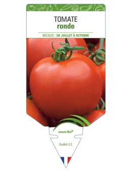 TOMATE (sans nom - Fruits ronds)