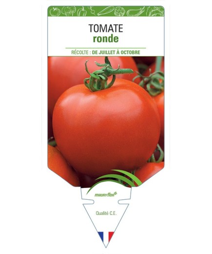 TOMATE (sans nom - Fruits ronds)