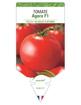 TOMATE AGORA F1