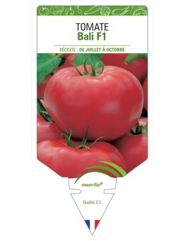 TOMATE BALI F1 *