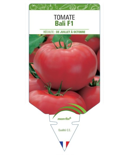 TOMATE BALI F1 *