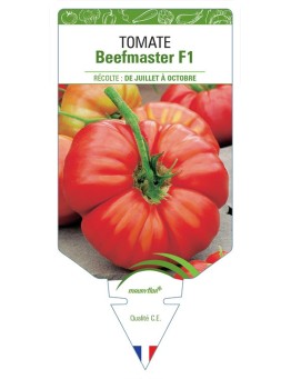 TOMATE BEEFMASTER F1