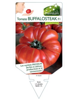 TOMATE BUFFALOSTEAK F1 *