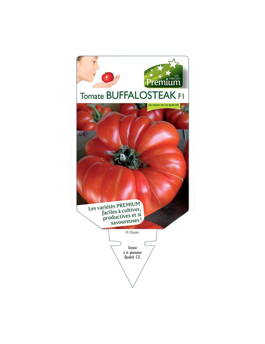TOMATE BUFFALOSTEAK F1 *
