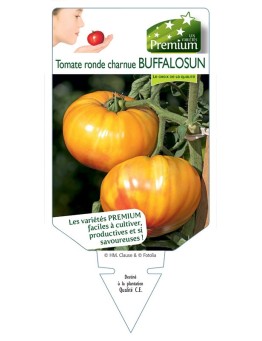 TOMATE BUFFALOSUN