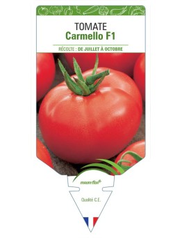 TOMATE CARMELLO F1