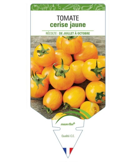 TOMATE CERISE (jaune)