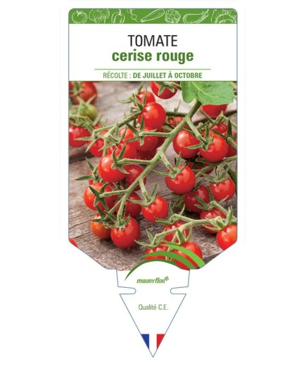 TOMATE CERISE (rouge)