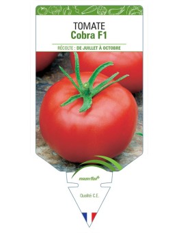 TOMATE COBRA F1