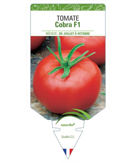 TOMATE COBRA F1