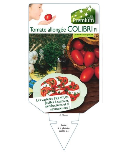 TOMATE ALLONGÉE COLIBRI F1