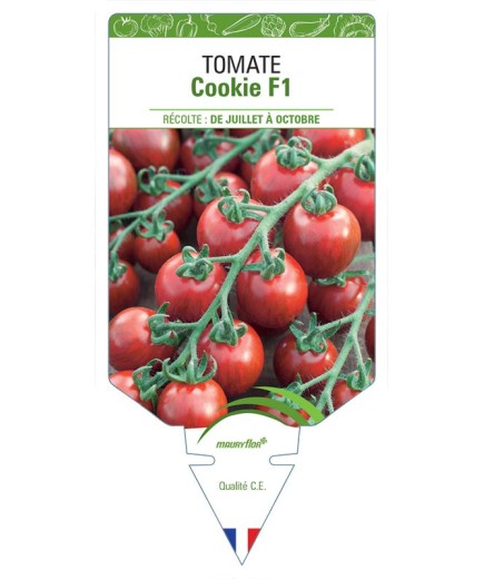 TOMATE COOKIE F1