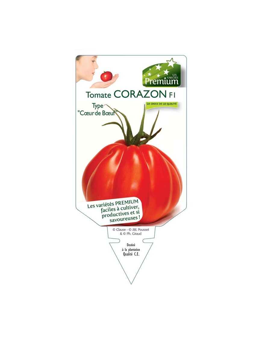 TOMATE CORAZON F1 type "coeur de boeuf"