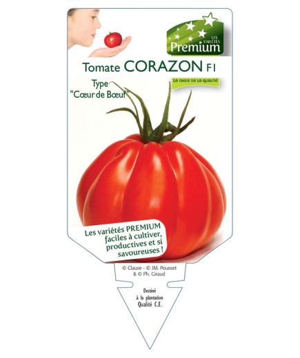 TOMATE CORAZON F1 type "coeur de boeuf"