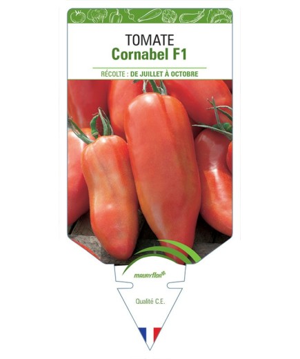 TOMATE CORNABEL F1