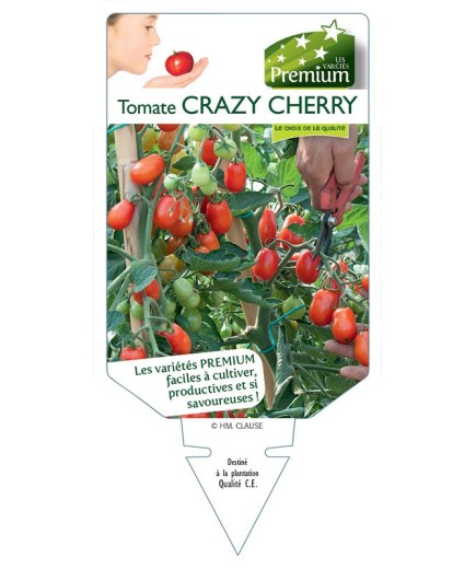 TOMATE CRAZY CHERRY
