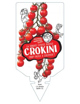 TOMATE CROKINI F1