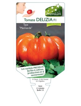 TOMATE DELIZIA F1