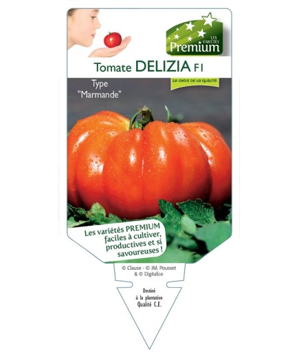 TOMATE DELIZIA F1