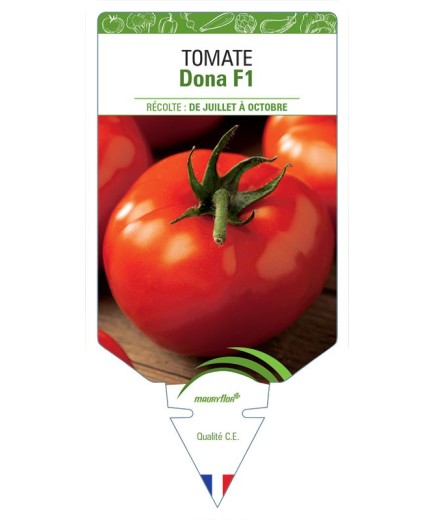 TOMATE DONA F1