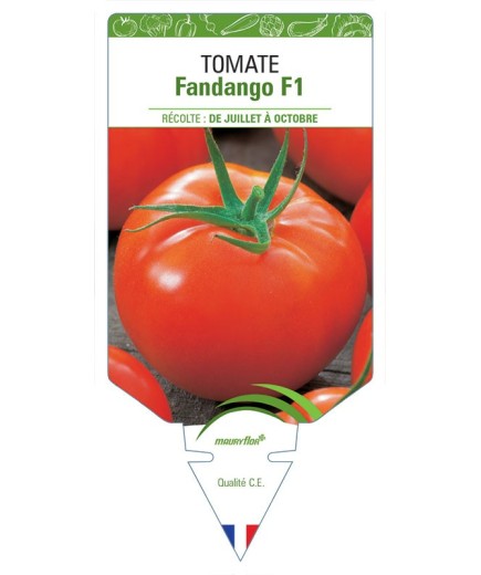 TOMATE FANDANGO F1