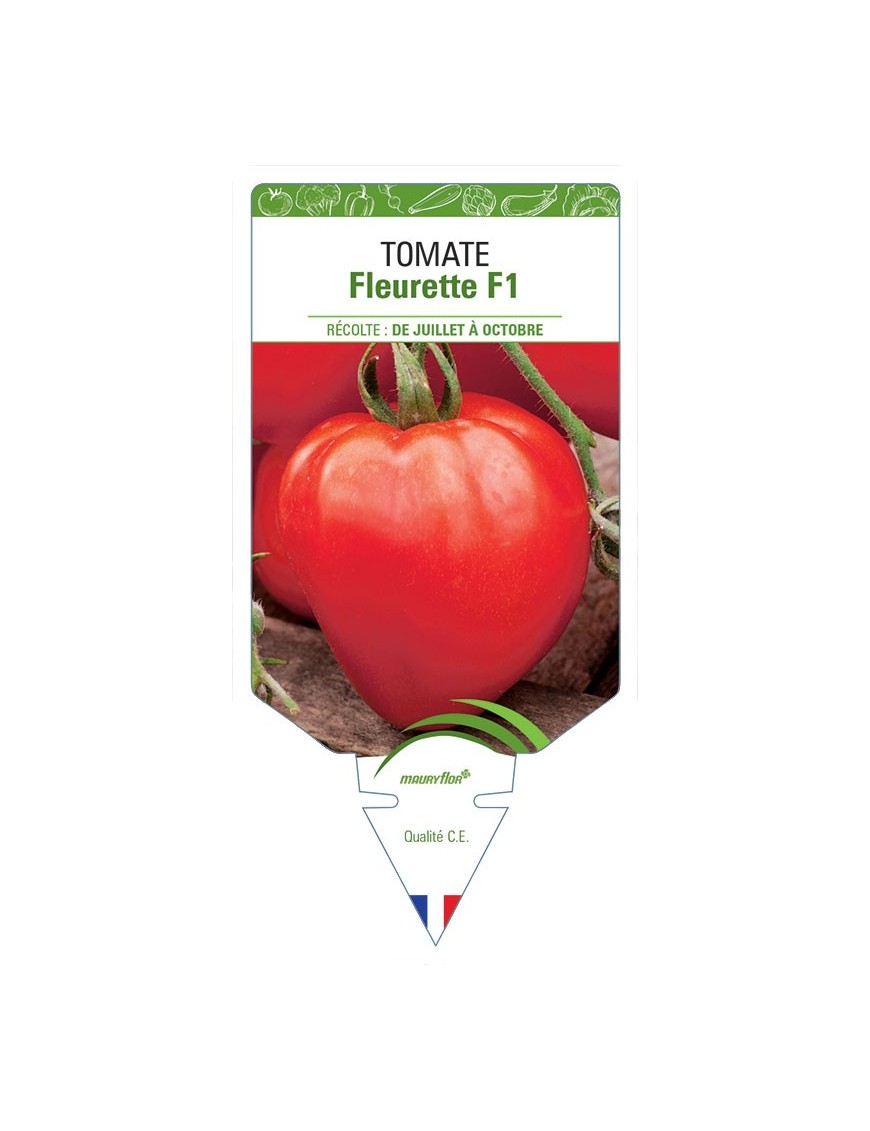 TOMATE FLEURETTE F1