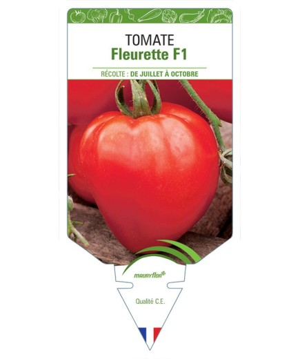 TOMATE FLEURETTE F1