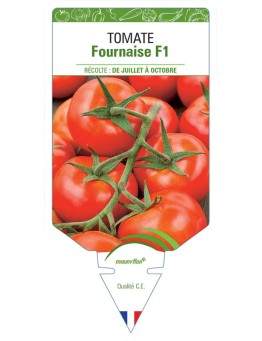 TOMATE FOURNAISE F1