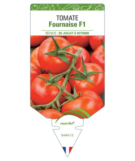TOMATE FOURNAISE F1