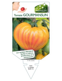 TOMATE GOURMANSUN