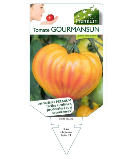 TOMATE GOURMANSUN