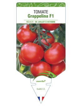 TOMATE GRAPPELINA F1